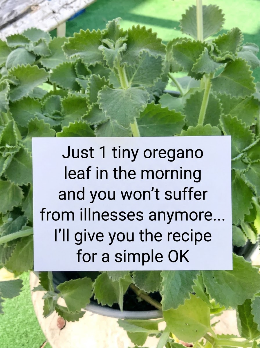 Translate and process image prompts 20261021151135 Translate and process image prompts 20261021151135