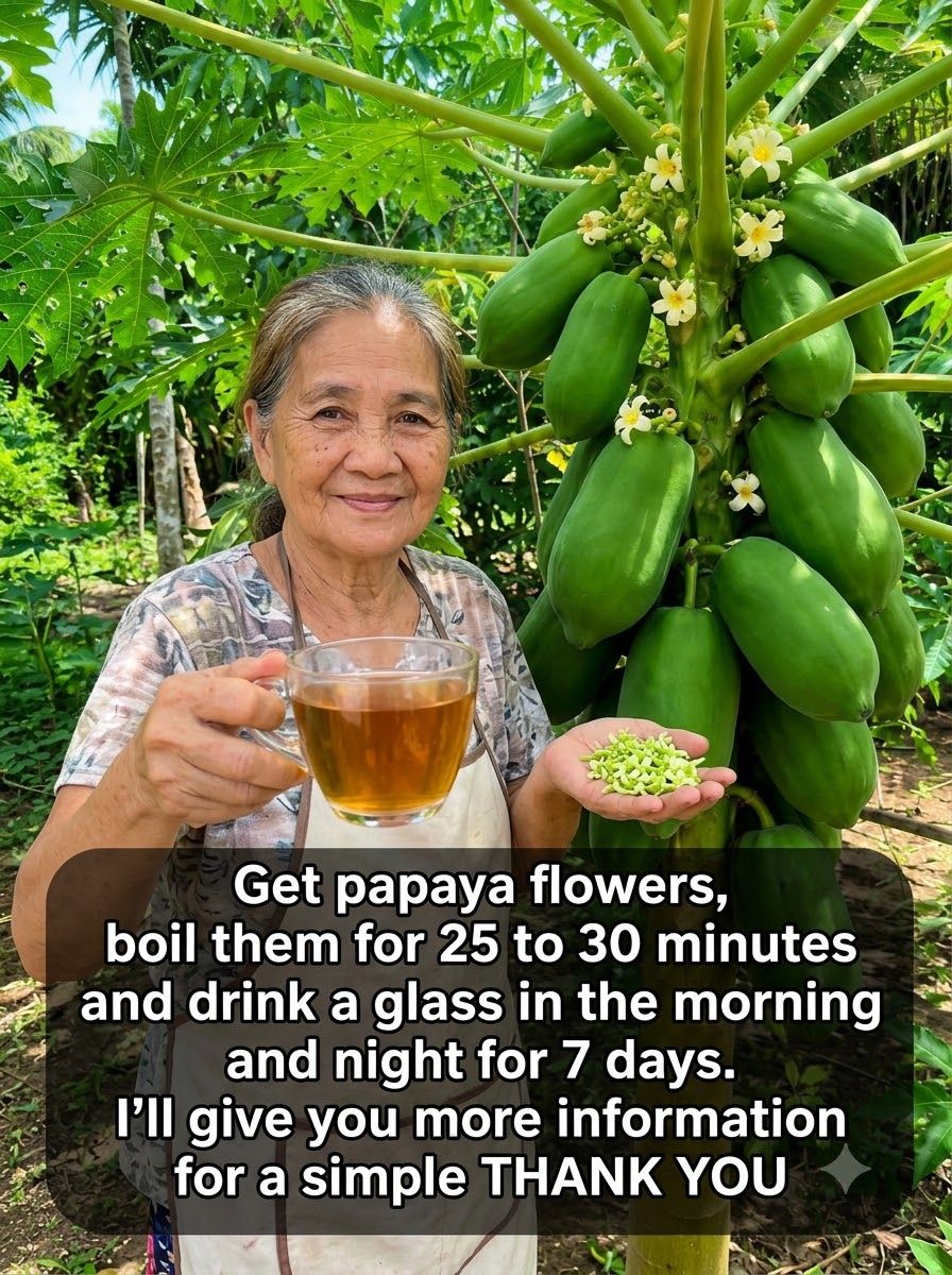 Woman holding papaya flowers and… 20261013100926