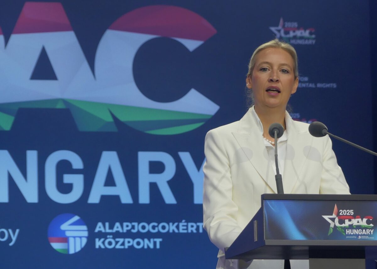 AfD Eş Genel Başkanı Alice Weidel