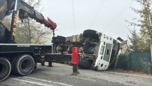 Bolu’da tavuk yüklü kamyon yol kenarına devrildi: 4 kişi yaralandı
