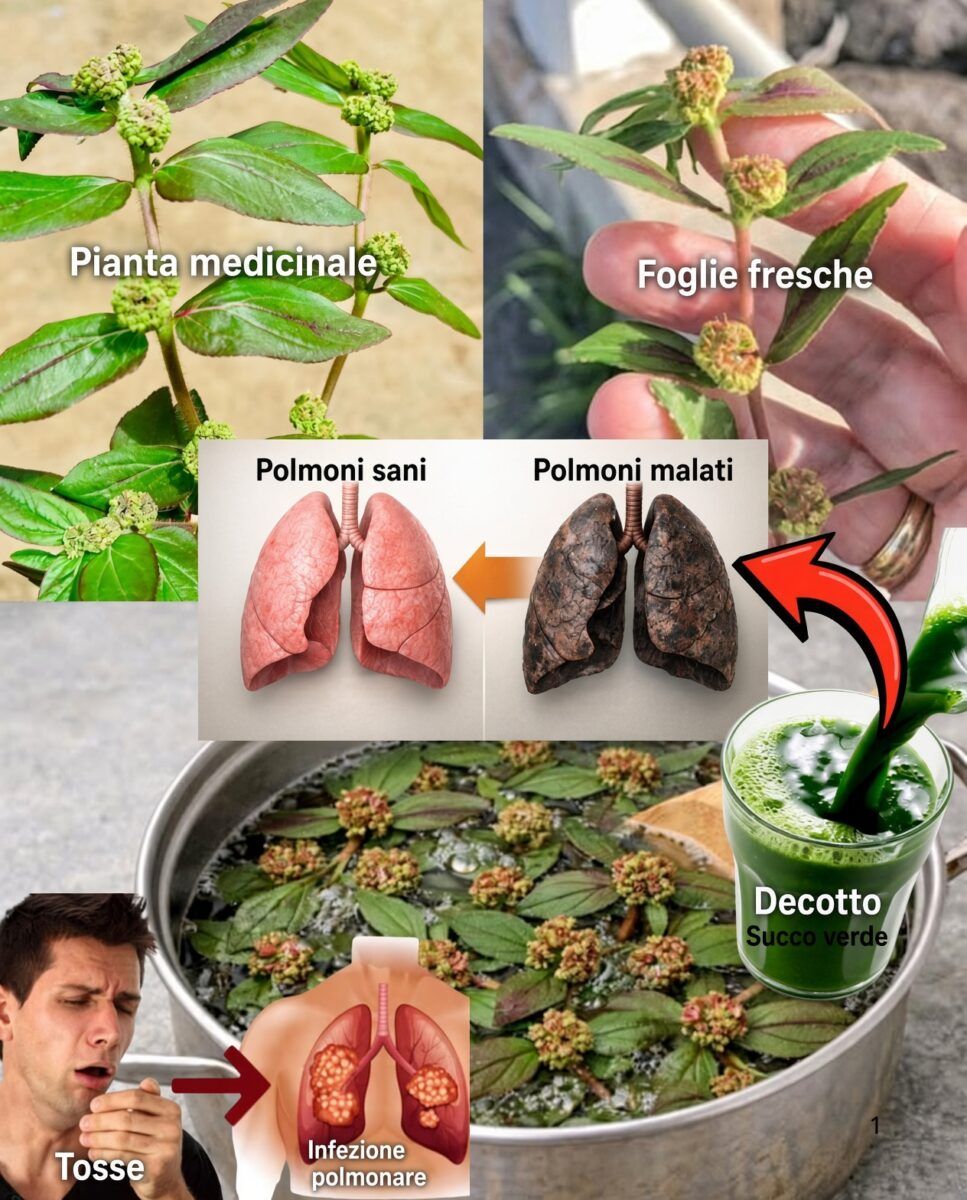 browser download 20261003T102748.924499696Z 24 grok image 071d515c 3db1 4b59 843f e8a8f10b78f9