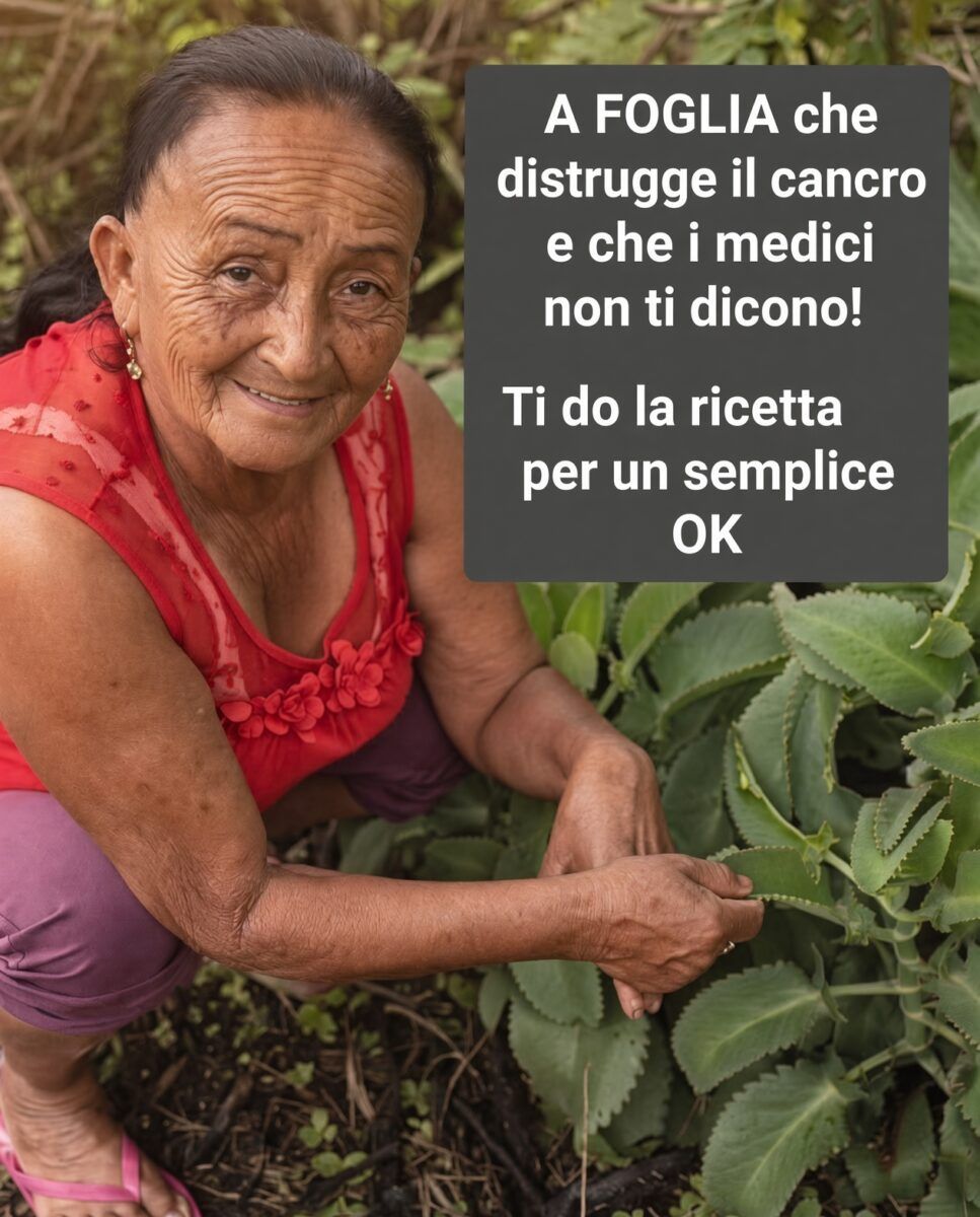 La foglia di Aranto - il rimedio naturale