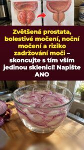 Namočená červená cibule na tlak prostaty a noční cesty na toaletu