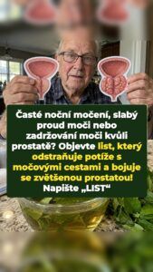 Přehlížený list donutí zvětšenou prostatu ustoupit