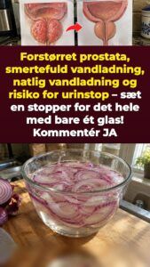 Udblødt rødløg mod prostatatryk og toiletture om natten