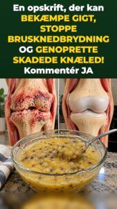 Én skål havregryn giver leddene en genstart – dine knæ mærker det hurtigt