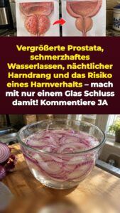 Eingeweichte rote Zwiebel gegen Prostatadruck und nächtliche Toilettengänge