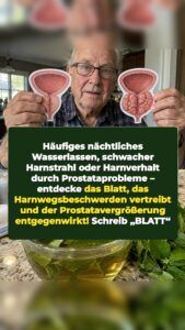 Ein unterschätztes Blatt drängt eine vergrößerte Prostata zurück