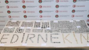 Edirne’de İpsala ve Kapıkule’de operasyon: 7 bin 160 tarihi eser yurt dışına kaçırılmaktan kurtarıldı