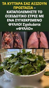 Το φύλλο μορίνγκα πυροδοτεί ένα κύμα κυτταρικής άμυνας που το νιώθετε