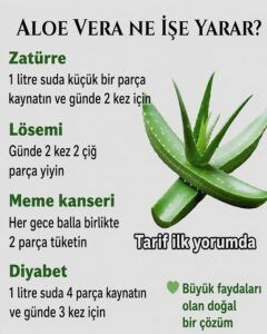 🌿 Πώς να χρησιμοποιείτε την αλόη με ασφάλεια; Στομαχόπονος, έντονη διάρροια και αλληλεπιδράσεις με φάρμακα