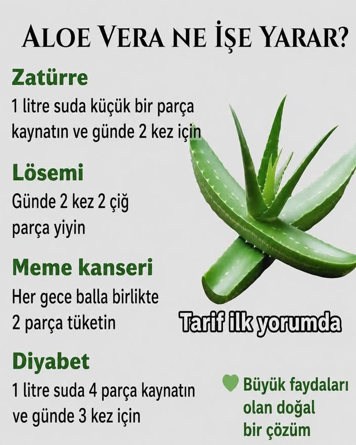🌿 Πώς να χρησιμοποιείτε την αλόη με ασφάλεια; Στομαχόπονος, έντονη διάρροια και
