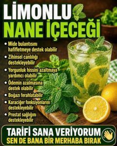🤢🍋 Ρόφημα μέντας με λεμόνι για ναυτία και φούσκωμα: Συνταγές, χρήση και πλάνο 7 ημερών