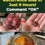 4 Spices That Trigger a Cellular Reset Against Cancer Risk