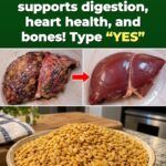 6 Conditions — 1 Seed: What Millet Does Inside a Damaged Body