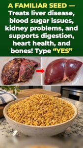 6 Conditions — 1 Seed: What Millet Does Inside a Damaged Body