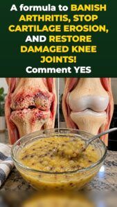 1 Bowl of Oats Triggers a Joint Reset Your Knees Feel Fast