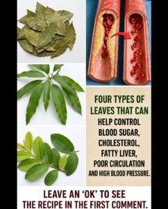The 4 Healing Leaves: Avocado, Mango, Laurel and Guava