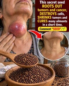 The Secret Seed Ad: What You Should Know Before Commenting SEED