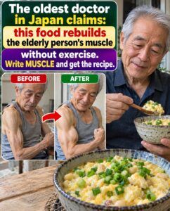 The Japanese Food That Rekindles Muscle and Returns Strength to the Elderly