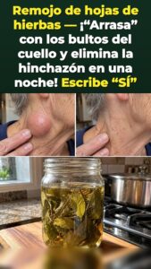 Esta hoja desencadena un fuerte reinicio de la presión en el cuello que el cuerpo no puede ignorar