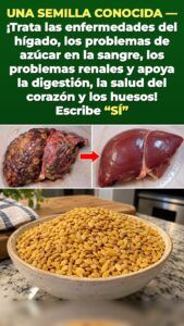 6 afecciones — 1 semilla: lo que el mijo hace dentro de un cuerpo dañado