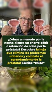 Una hoja olvidada obliga a retroceder a una próstata agrandada