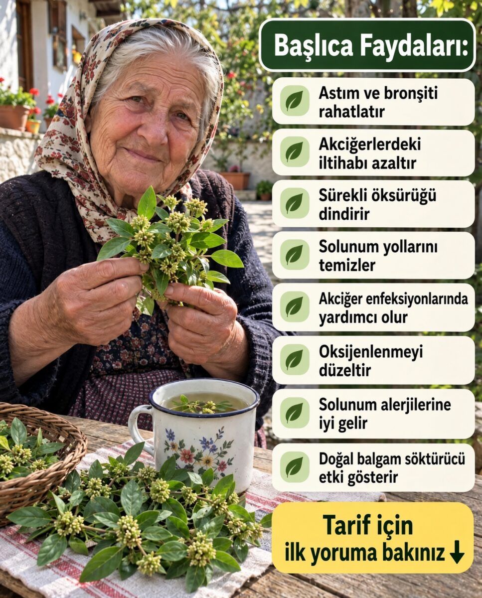 grok image 66ab37f9 3147 4509 82fe 904a4c1d858c