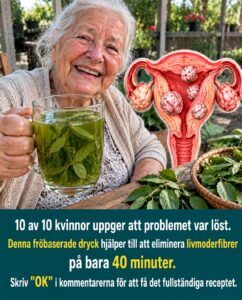 Fröbrygget som riktar sig mot fibroider innan din kropp hårdnar runt dem