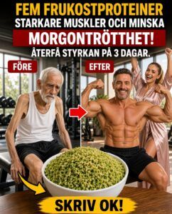 Fem frukostproteiner för starkare muskler