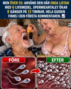 Sex livsmedel. Ett brutalt problem. Chocken: kroppen behöver rått biologiskt bränsle, inte ett mirakel