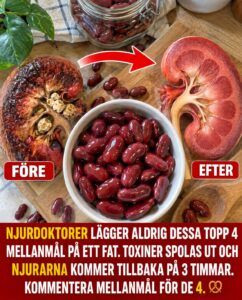 Valnötter, kastanjer, svart sesam och macadamia: fyra snacks som avlastar njurarna