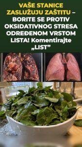 List moringe pokreće osjetan nalet stanične obrane