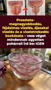 Beáztatott lilahagyma a prosztatanyomás és az éjszakai mosdójárás ellen