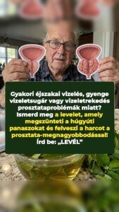 Egy elfeledett levél visszaszorítja a megnagyobbodott prosztatát