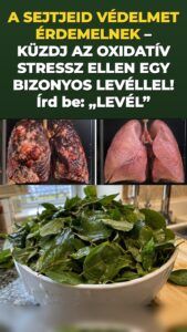 A moringalevél érezhető sejtvédelmi löketet indít el
