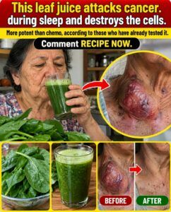 This Green Leaf Juice Said to Attack Cancer While You Sleep