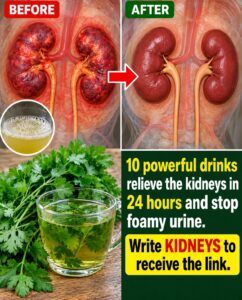 10 Powerful Drinks Said to Relieve the Kidneys and Stop Foamy Urine