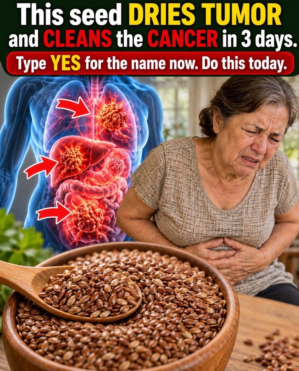 Flaxseed: The Brutal Boost Your Body Wants When Tumors and Cancer Enter the Scene