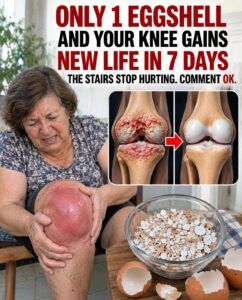 Just 1 Eggshell Can Unlock Your Knee and Relieve the Stairs