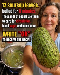 12 Soursop Leaves Boiled for 8 Minutes — Circulation, Blood Sugar and More