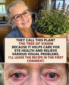 Ancestral Secrets for Your Eyes: Discover the Hidden Power of the Vision Tree