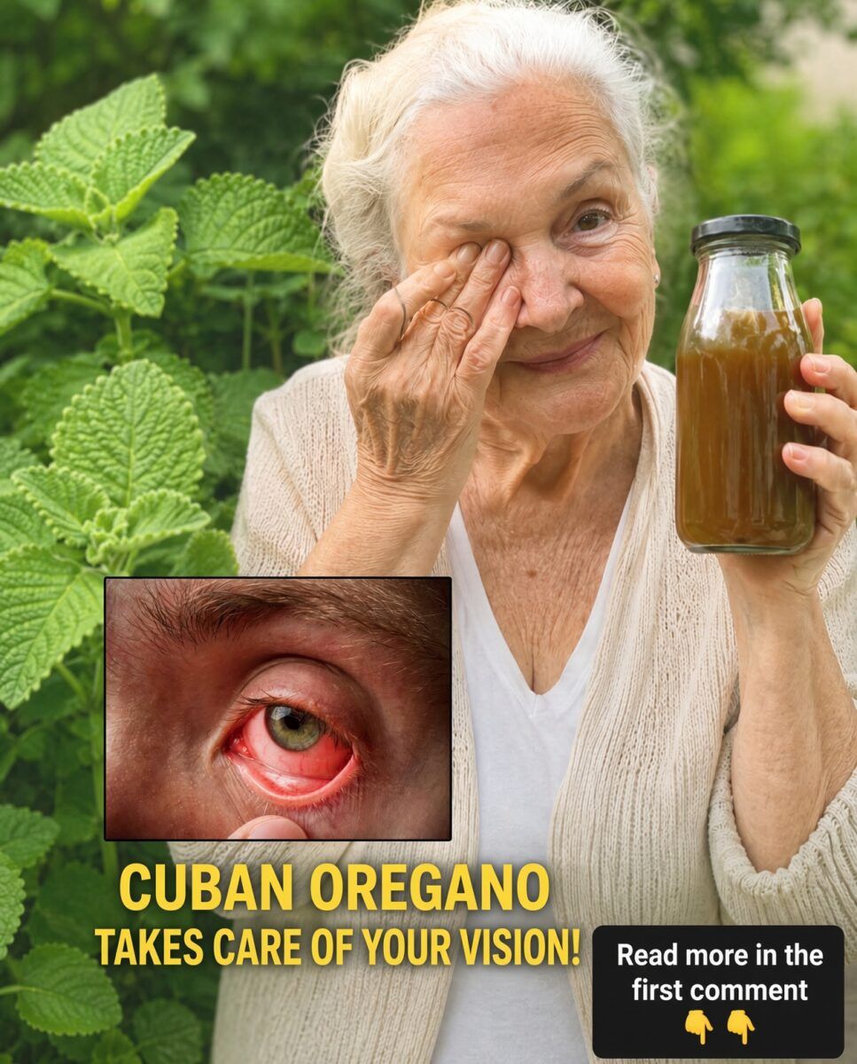 Cuban oregano cares for your vision