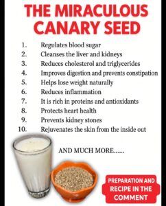 Canary Seed: Benefits, How to Prepare and Simple Ways to Consume