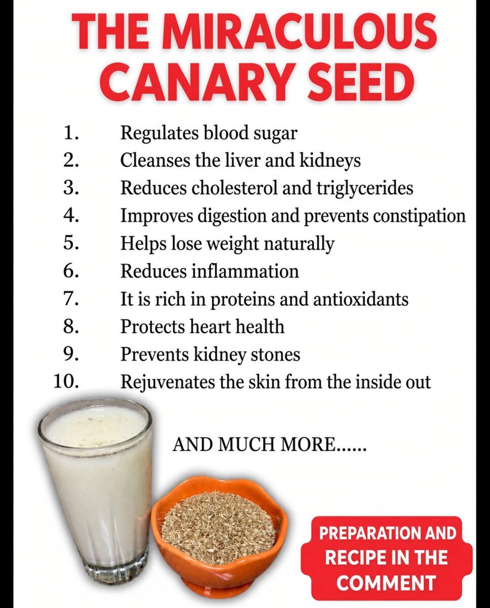 THE MIRACULOUS CANARY SEED