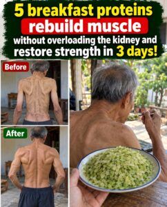 5 Breakfast Proteins Said to Rebuild Muscle Without Overloading the Kidneys