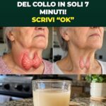 Sgonfia in fretta una tiroide ingrossata con la spinta nascosta della cipolla cruda appena tagliata