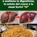 6 disturbi — 1 seme: cosa fa il miglio dentro un corpo danneggiato