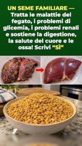 6 disturbi — 1 seme: cosa fa il miglio dentro un corpo danneggiato