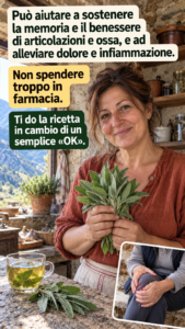 Foglie di salvia: proprietà, benefici e come utilizzarle ogni giorno